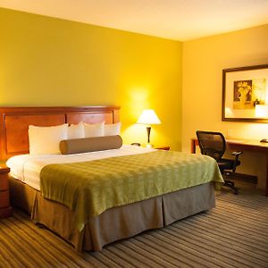 King Room Disability Access